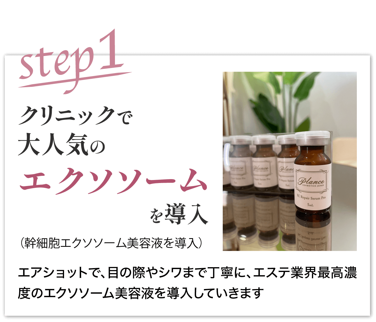 肌にハリをつくる